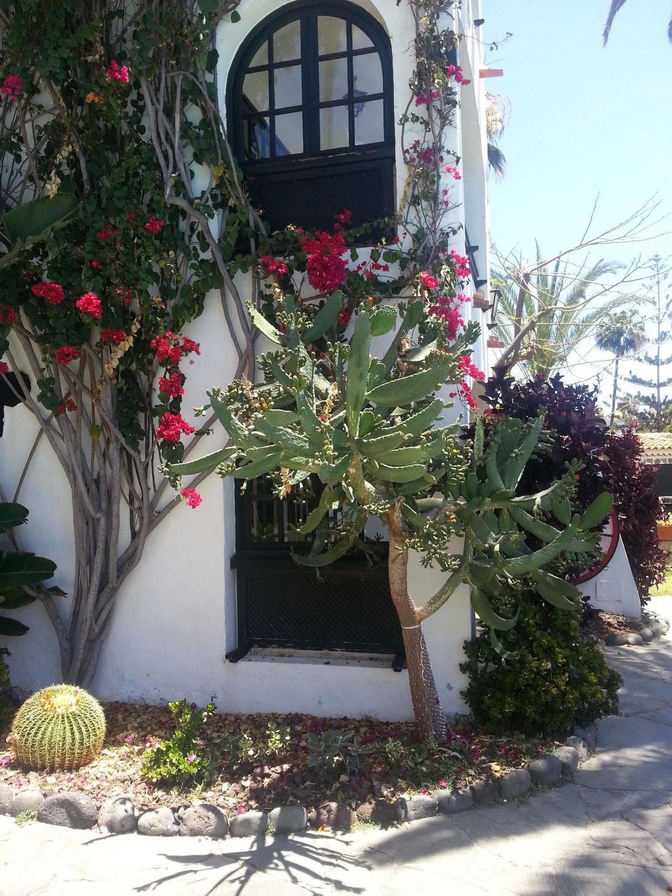 Apartamentos El Chaparral Playa del Ingles  Luaran gambar