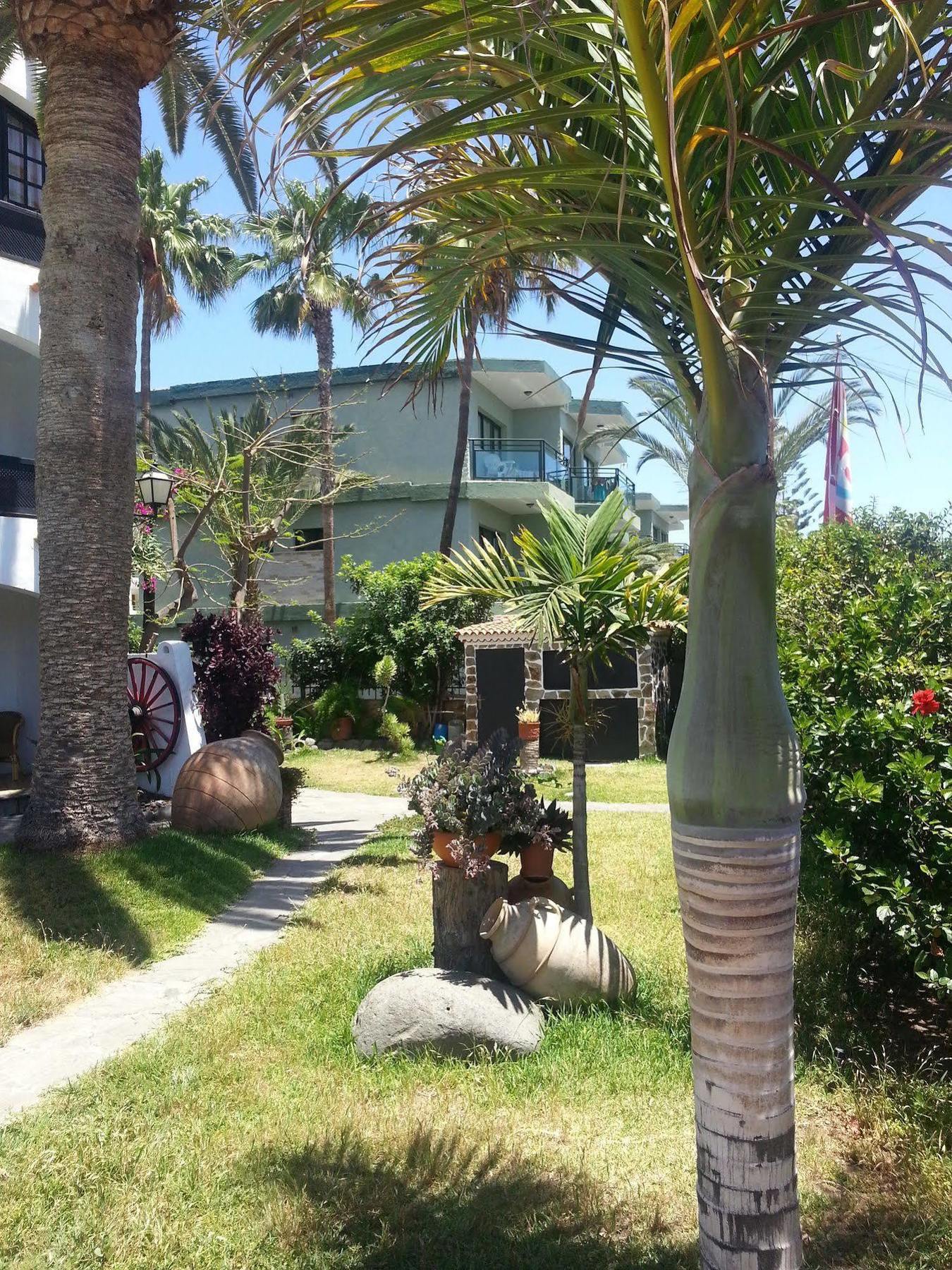 Apartamentos El Chaparral Playa del Ingles  Luaran gambar